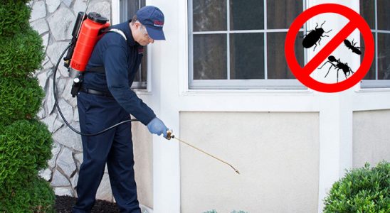 Gümüşpala Böcek İlaçlama böcek ilaçlama ve haşere kontrolü — ilaclama-tr.com